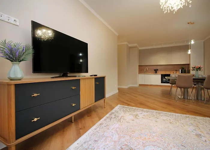 Modern, Spacious And Elegant Apt 79